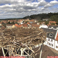 12_35-nest.jpg