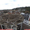 12_40-nest.jpg