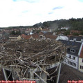 12_45-nest.jpg