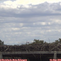 12_55-mast.jpg