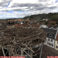 12_55-nest.jpg