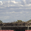 13_00-mast.jpg