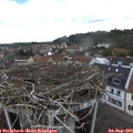 13_05-nest.jpg