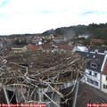 13_10-nest.jpg
