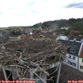 13_15-nest.jpg