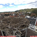 13_25-nest.jpg