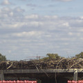 13_30-mast.jpg