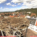 13_30-nest.jpg