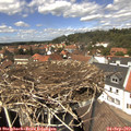 13_35-nest.jpg