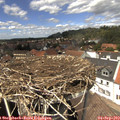 13_40-nest.jpg
