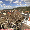 13_45-nest.jpg