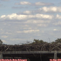 13_55-mast.jpg