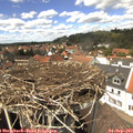 13_55-nest.jpg