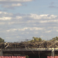 14_00-mast.jpg