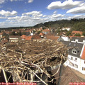 14_00-nest.jpg