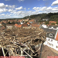 14_05-nest.jpg
