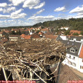 14_10-nest.jpg