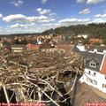 14_15-nest.jpg
