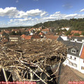 14_20-nest.jpg