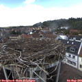 14_25-nest.jpg