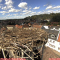 14_30-nest.jpg