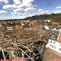 14_35-nest.jpg