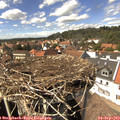 14_40-nest.jpg