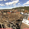 14_45-nest.jpg