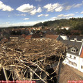 14_50-nest.jpg