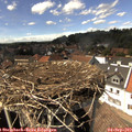 14_55-nest.jpg