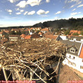 15_00-nest.jpg