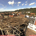 15_05-nest.jpg