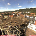 15_10-nest.jpg