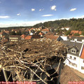 15_15-nest.jpg