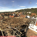 15_20-nest.jpg