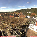 15_25-nest.jpg