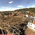 15_30-nest.jpg