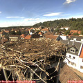 15_35-nest.jpg