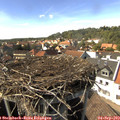 15_40-nest.jpg