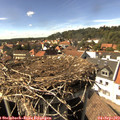 15_45-nest.jpg