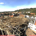 15_55-nest.jpg