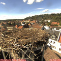 16_00-nest.jpg