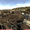 16_05-nest.jpg