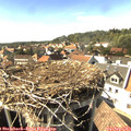 16_10-nest.jpg
