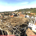 16_15-nest.jpg