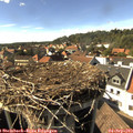 16_20-nest.jpg