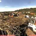 16_30-nest.jpg