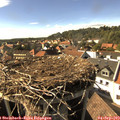 16_35-nest.jpg