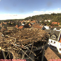 16_40-nest.jpg