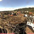 16_45-nest.jpg
